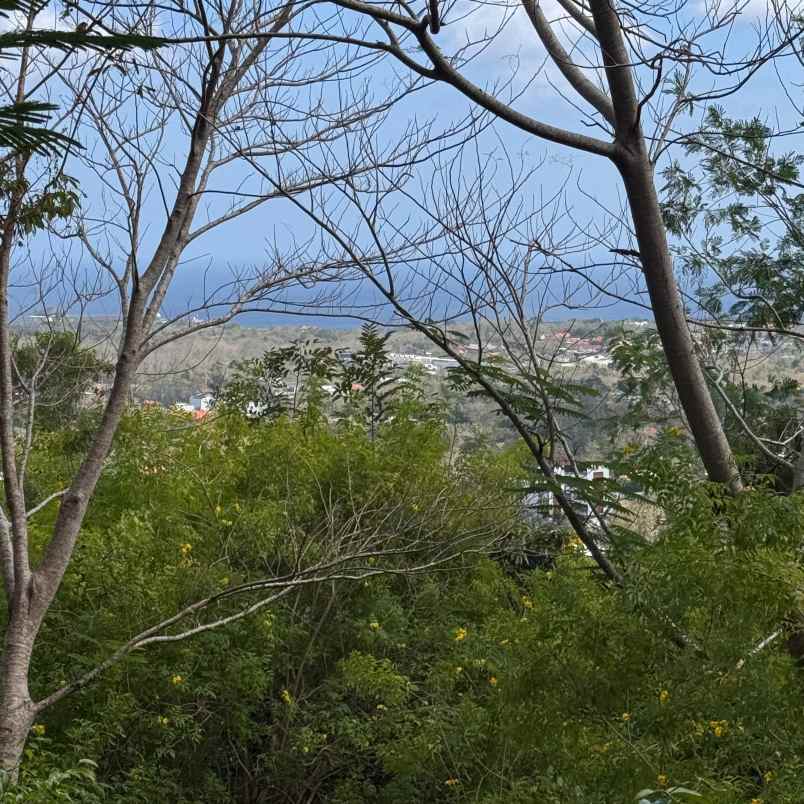dijual tanah pantai balangan