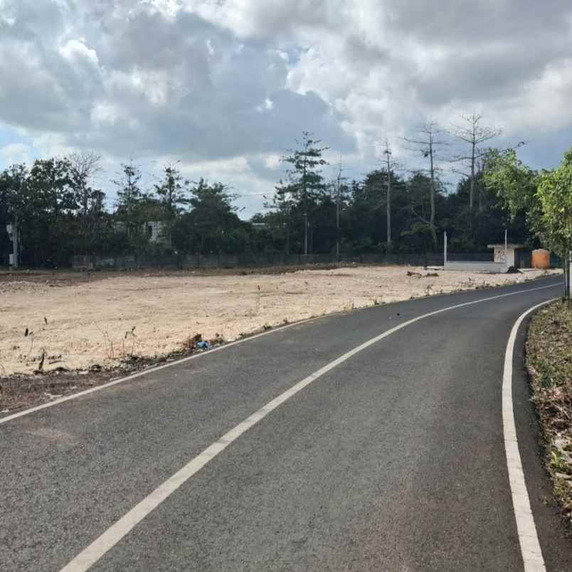 dijual tanah pantai balangan
