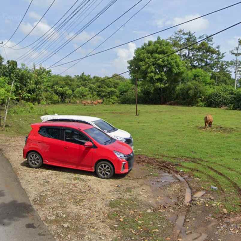 dijual tanah pantai balangan