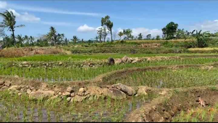 dijual tanah rando bawa kec mandirancan