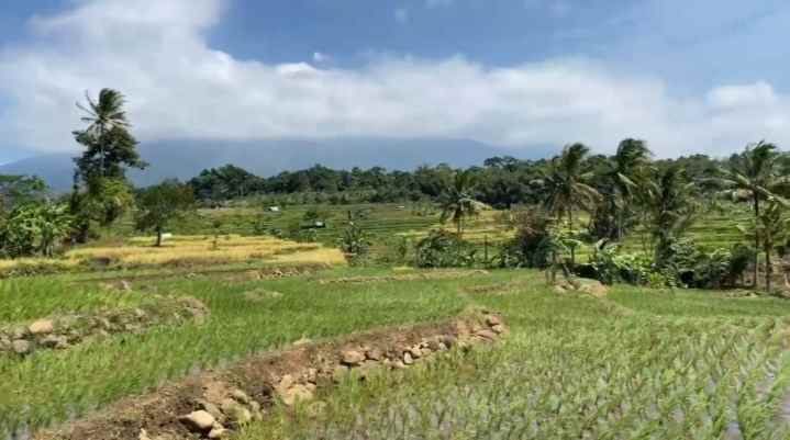 dijual tanah rando bawa kec mandirancan