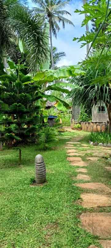 dijual tanah seraya karangasem bali