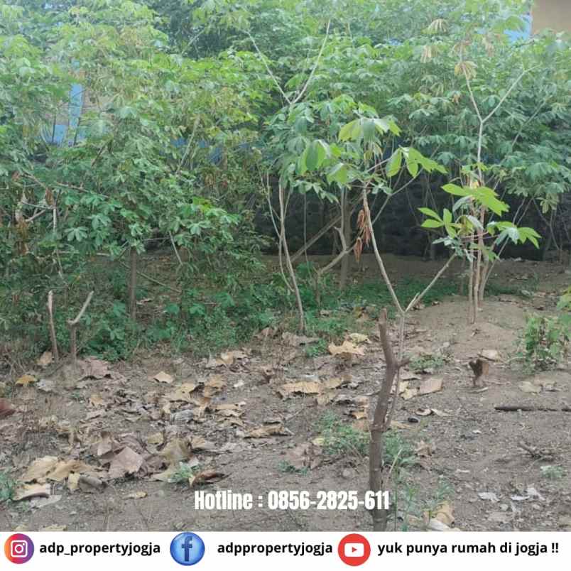 dijual tanah seturan caturtunggal depok