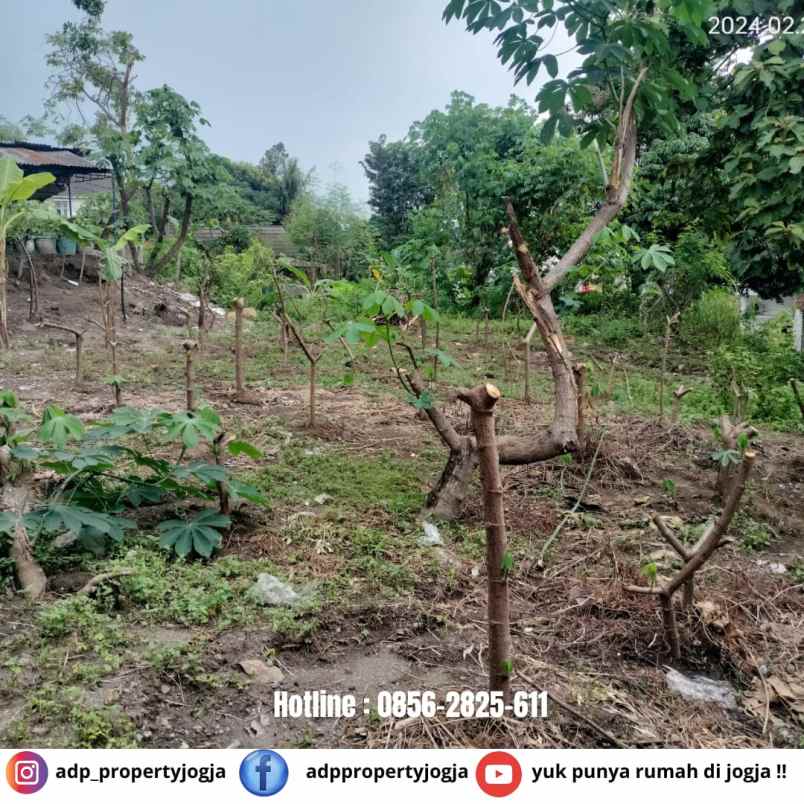 dijual tanah seturan caturtunggal depok