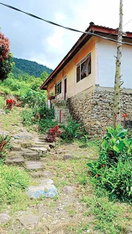 dijual tanah silahi sabungan