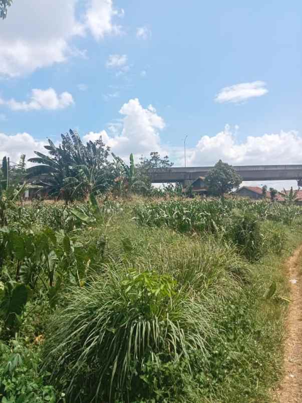 dijual tanah soleh iskandar