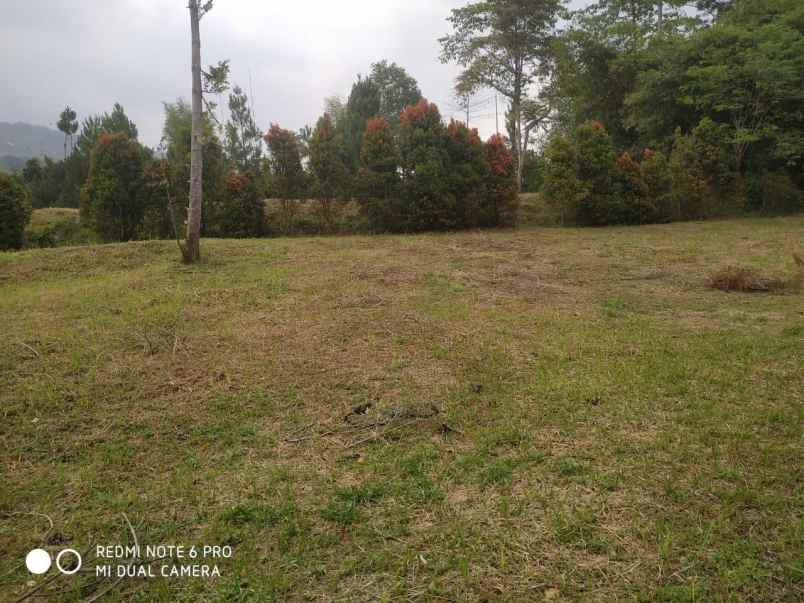 dijual tanah tajurhalang kaki gunung salak