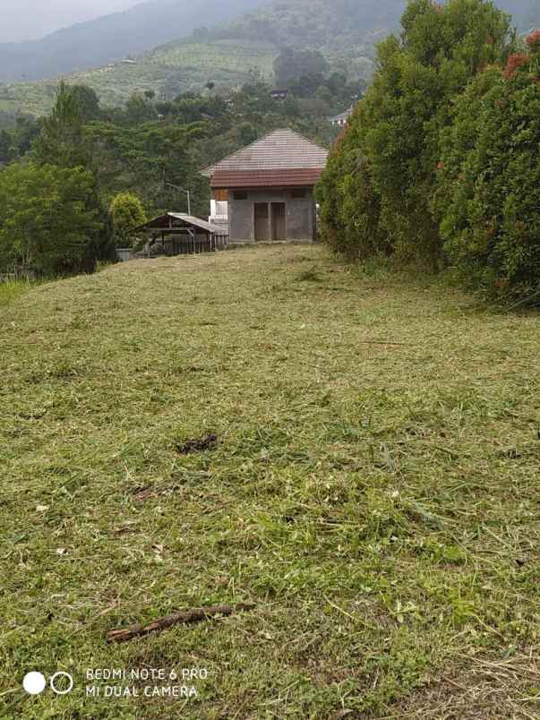 dijual tanah tajurhalang kaki gunung salak
