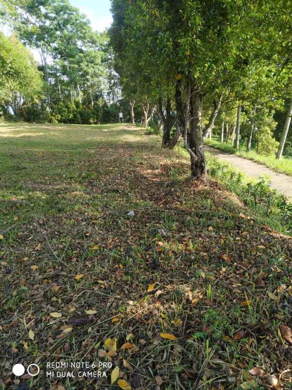 dijual tanah tajurhalang kaki gunung salak