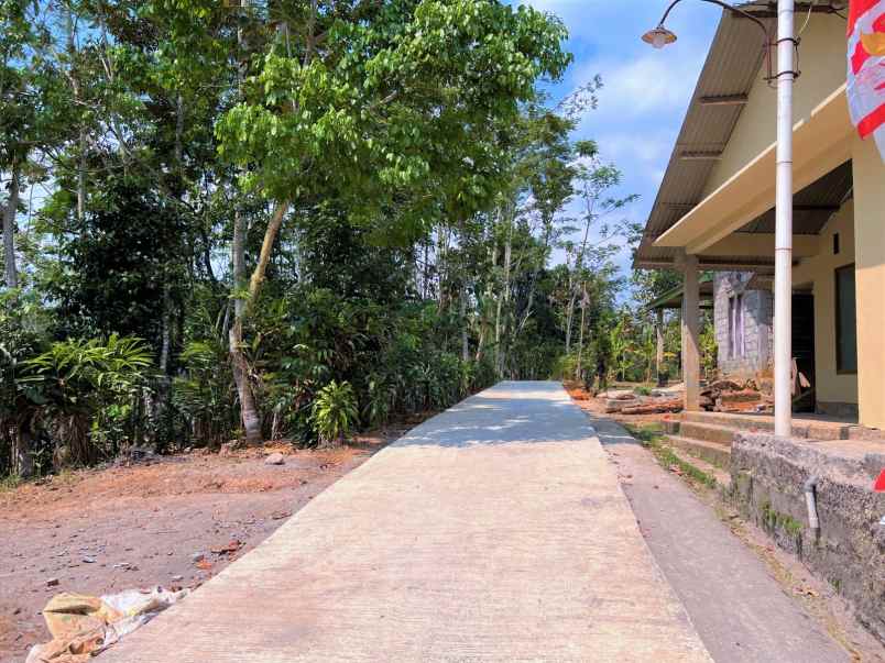 dijual tanah tohkuning