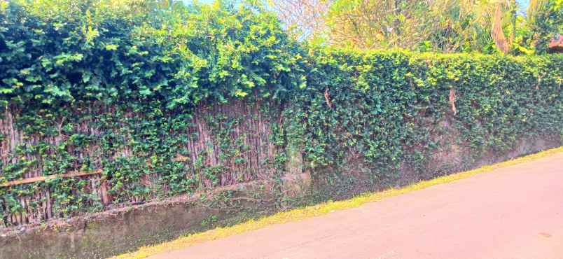 dijual tanah umalas kerobokan badung bali