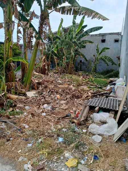 dijual tanah wonorejo selatan surabaya