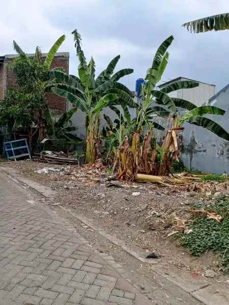 dijual tanah wonorejo selatan surabaya