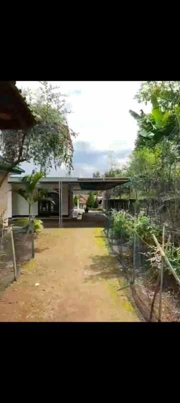 dijual villa sukawangi pamulihan