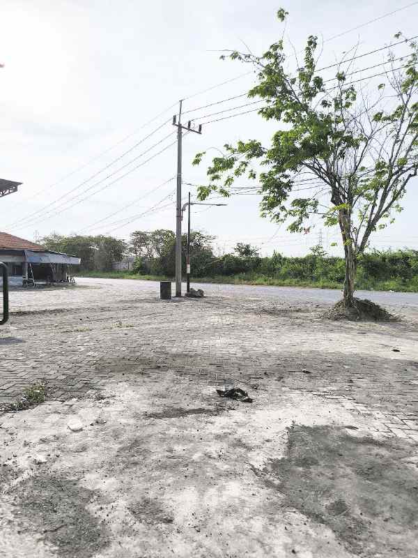 disewakan gudang siap pakai romokalisari surabaya