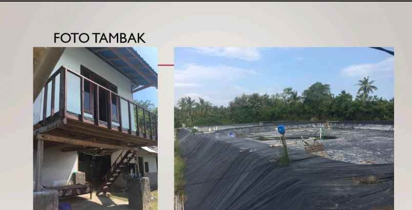disewakan tambak siap pakai di negara jembrana bali