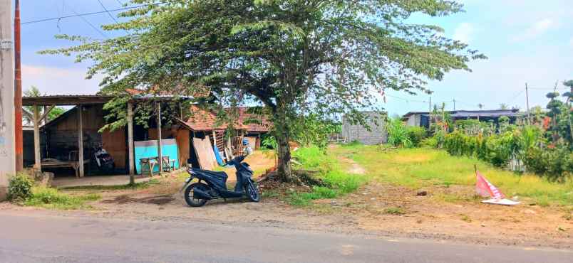 disewakan tanah di darmasaba abiansemal badung bali