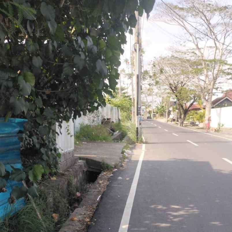 disewakan tanah pantai seseh munggu