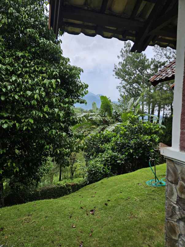 grand trawas intiland mojokerto