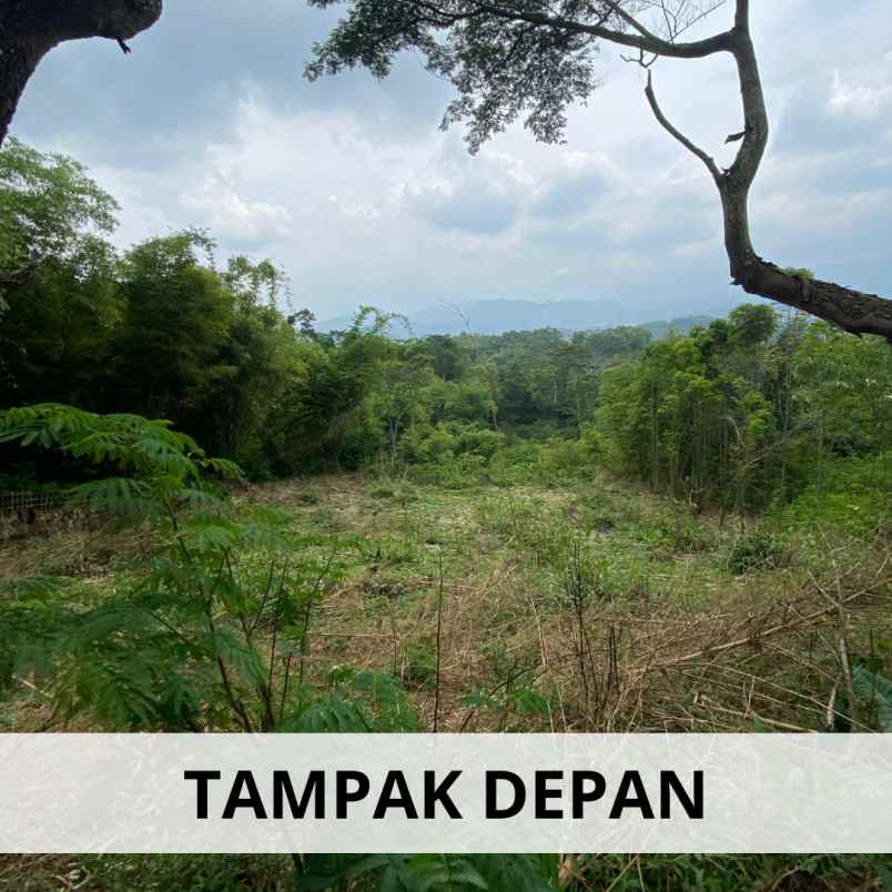 jual kebun alpukat di ciwidey