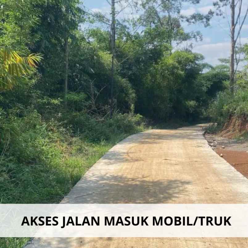 jual kebun alpukat di ciwidey