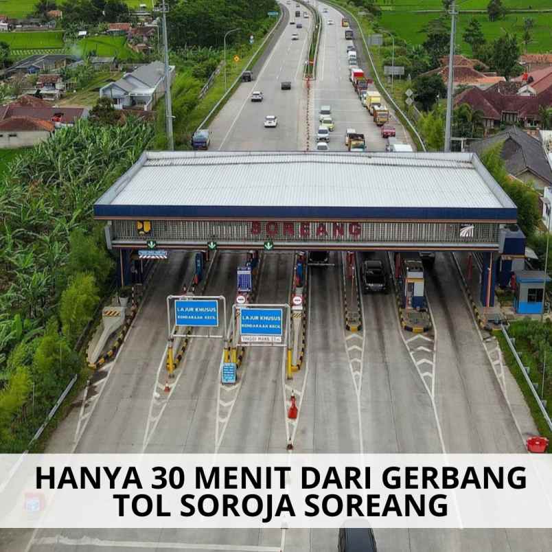 jual kebun alpukat di ciwidey