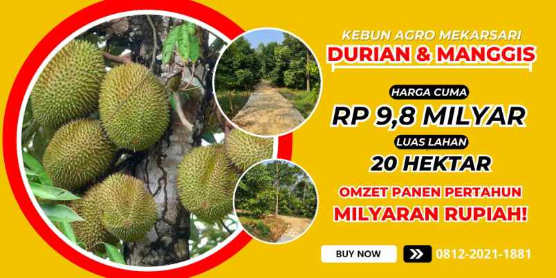 jual kebun duiran di bogor