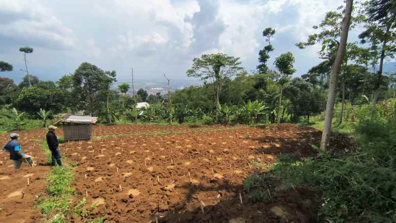 jual tanah istimewa pasir nanjung ciamnggung