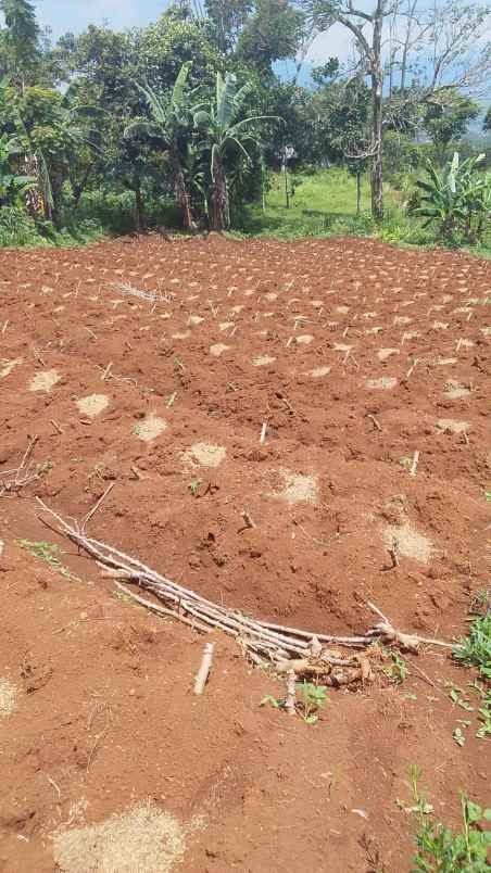 jual tanah istimewa pasir nanjung ciamnggung