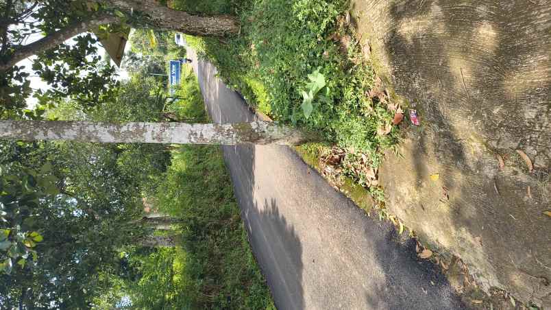 jual tanah istimewa pasir nanjung ciamnggung