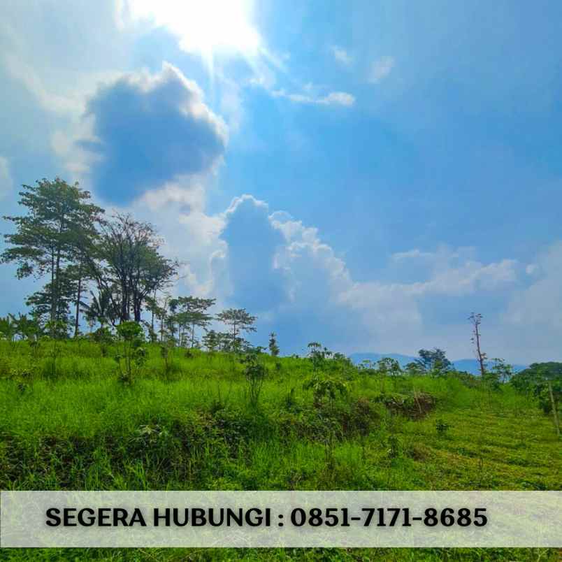 jual tanah murah ciwidey bandung