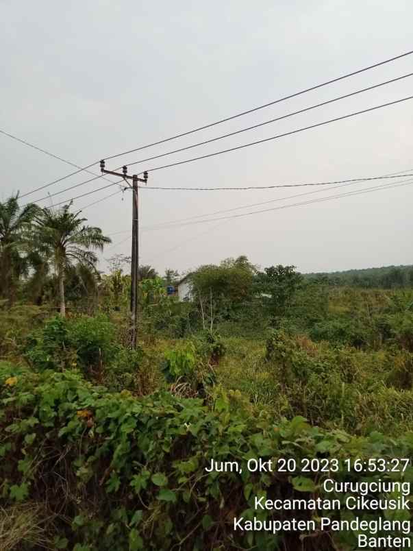 lahan kavling pinggir cikeusik