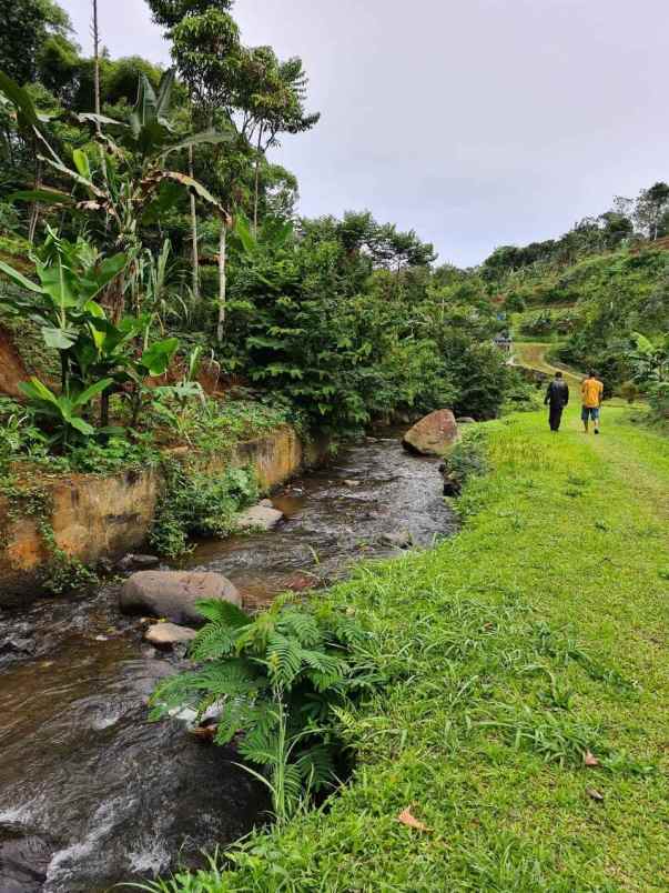 lokasi tanah di mega mendung bogor