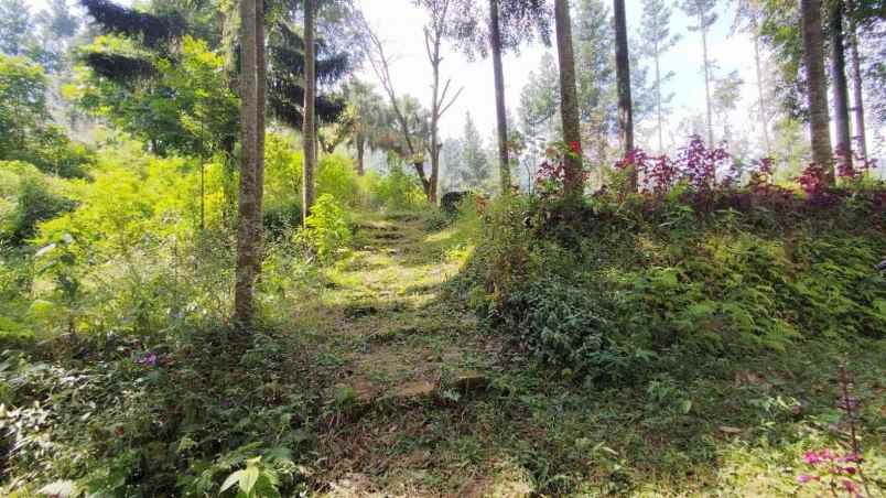 lokasi tanah di mega mendung bogor