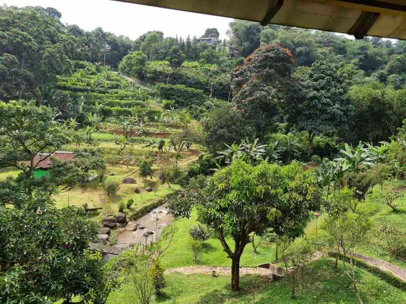 lokasi tanah di mega mendung bogor