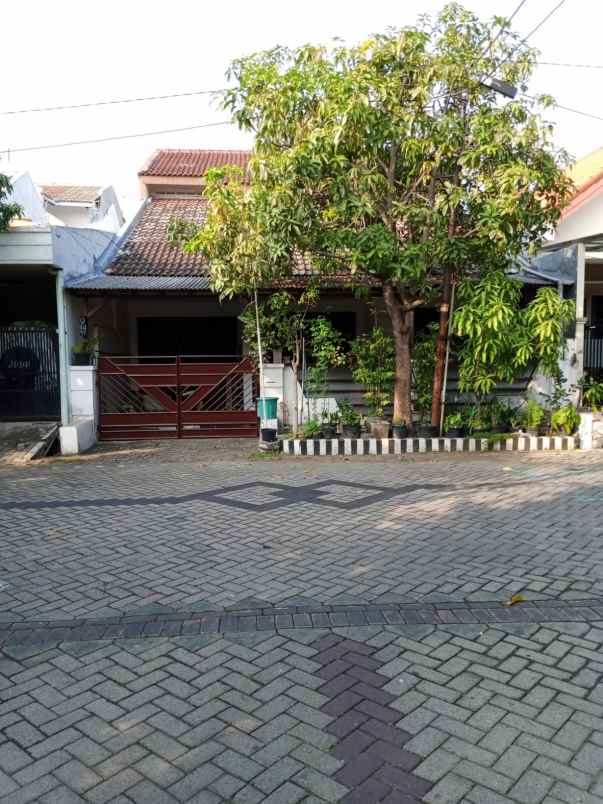 rumah pandugo rungkut surabaya row jalan 6m 7m nego