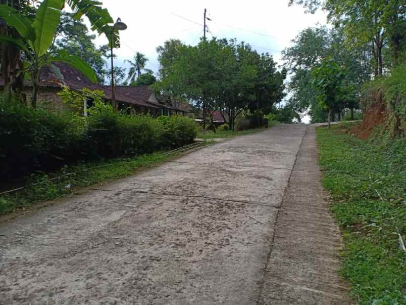 rumah timur kantor kecamatan