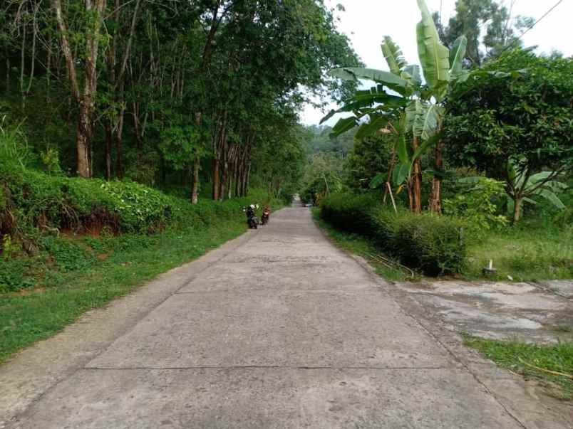 rumah timur kantor kecamatan