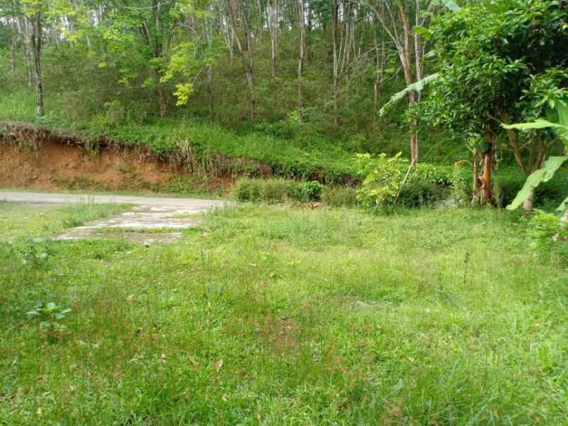 rumah timur kantor kecamatan