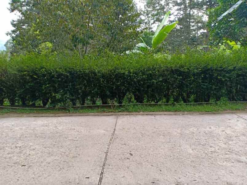 rumah timur kantor kecamatan