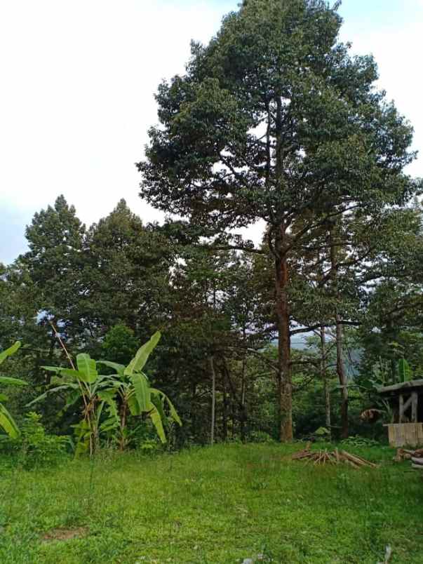 rumah timur kantor kecamatan