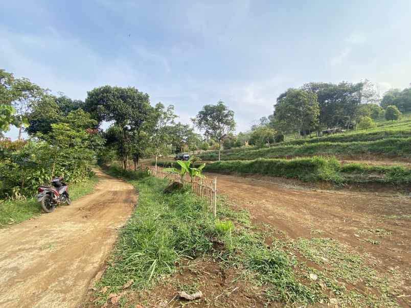 tanah best view cijeruk tanah murah cijeruk bogor