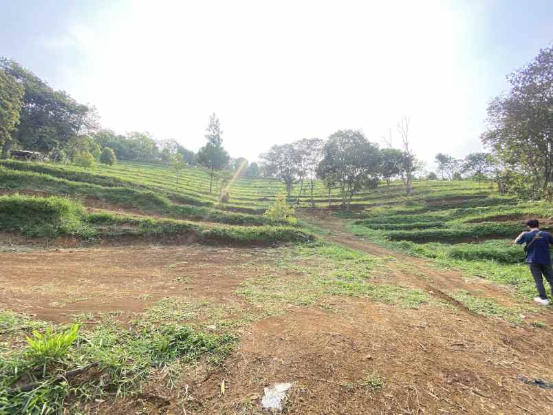 tanah best view cijeruk tanah murah cijeruk bogor