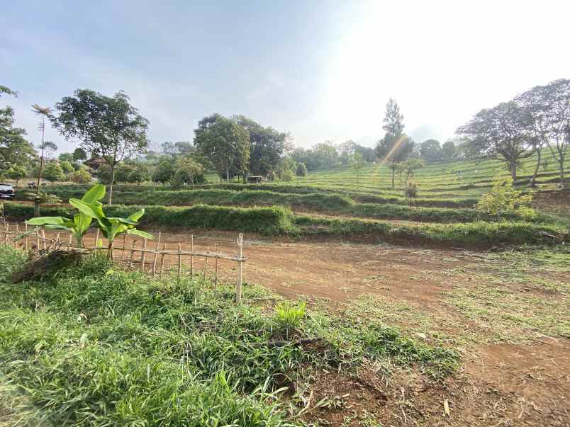tanah best view cijeruk tanah murah cijeruk bogor