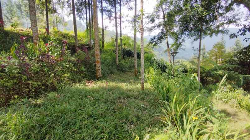 tanah best view di mega mendung bogor