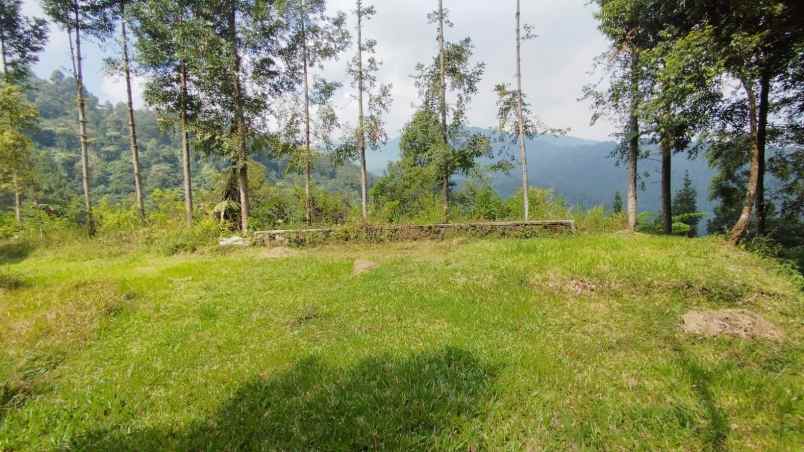 tanah best view di mega mendung bogor