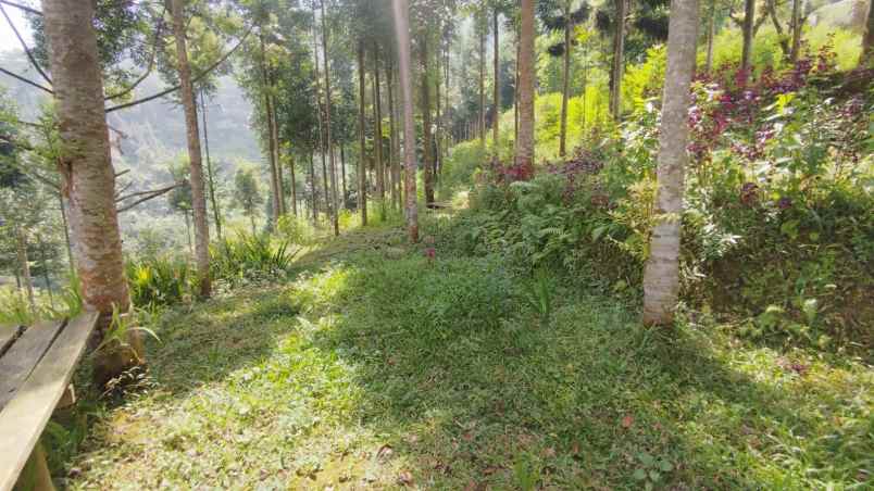 tanah best view di mega mendung bogor