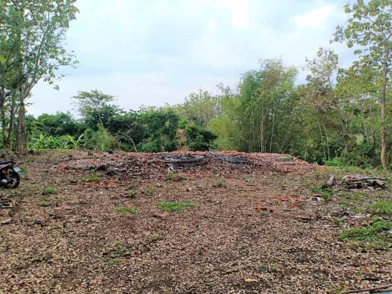 tanah desa kedawung kec kedawung