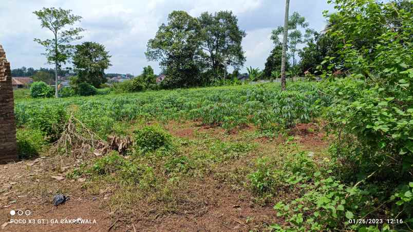 tanah di hajimena natar luas 5000m surat shm