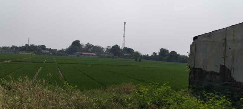 tanah di jl lingkar tanjungpura karawang timur